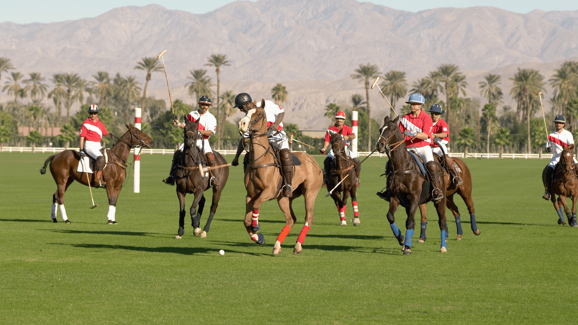 Santa Maria Polo Club