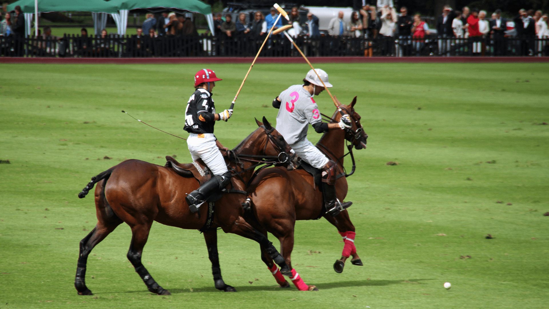 Polo Valley Sotogrande