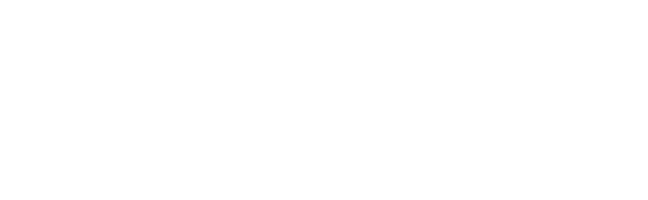 Asset 4 1.png