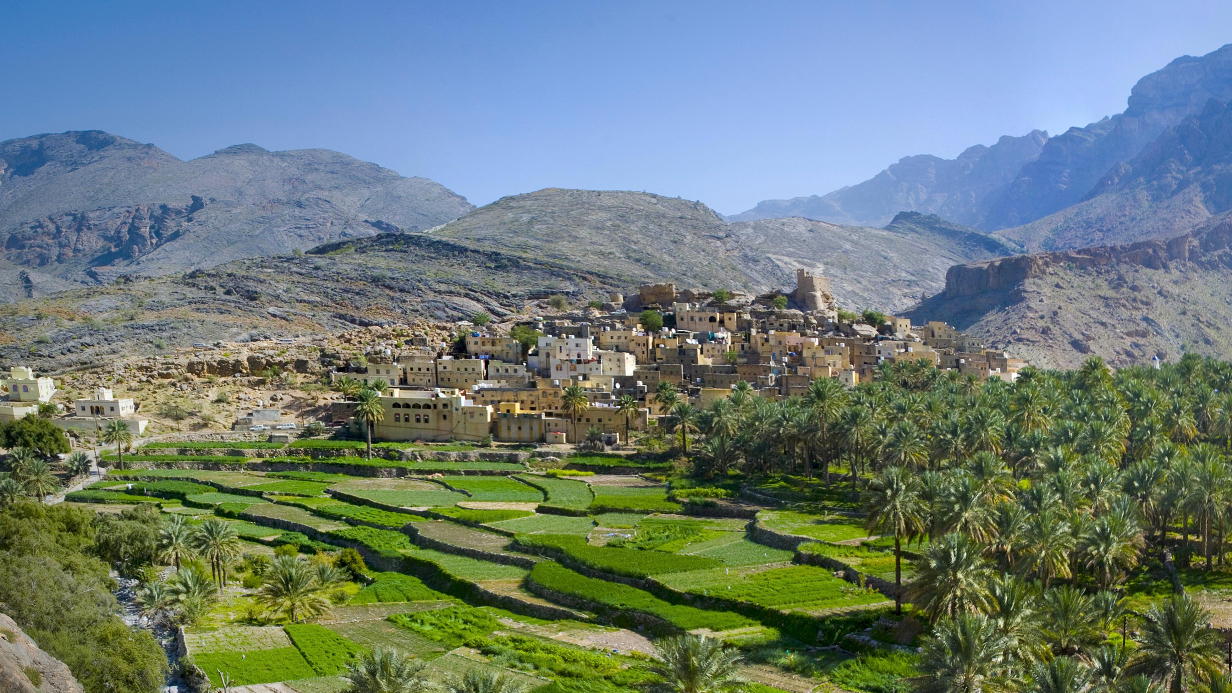 WhatsApp Image 2024-04-25 at 16.05.46.jpeg