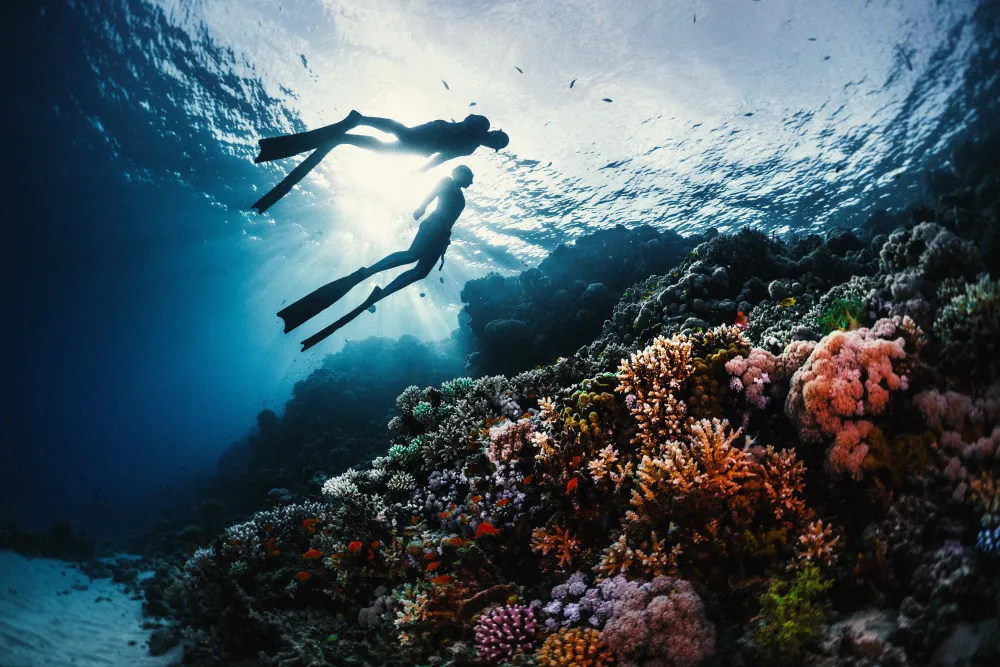 Below the Surface