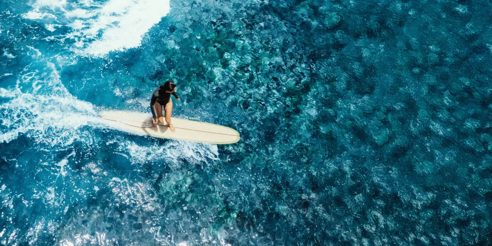 On & Above Water